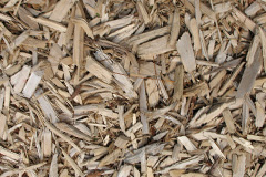 biomass boilers Carperby